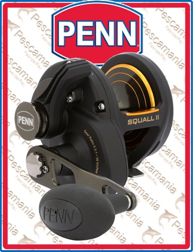 Penn squall lever drag - penn, squall®