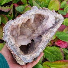 🔥Video🔥Top XL Ametista