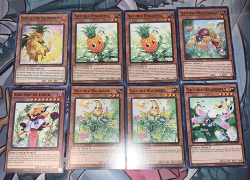Pacchetto mazzo yugioh naturia
