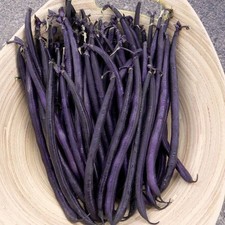 Purple Podded French Filet