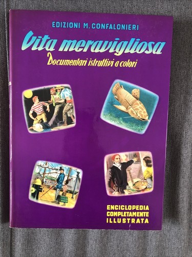 Vita meravigliosa volume xi - meravigliosa,