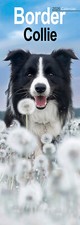 Calendario Border Collie Slim