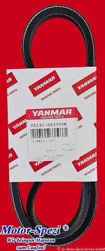Cinghia trapezoidale yanmar - trapezoidale,