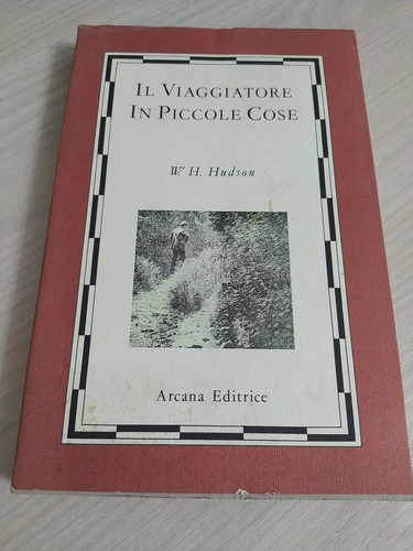 Viaggiatore piccole cose - viaggiatore, in