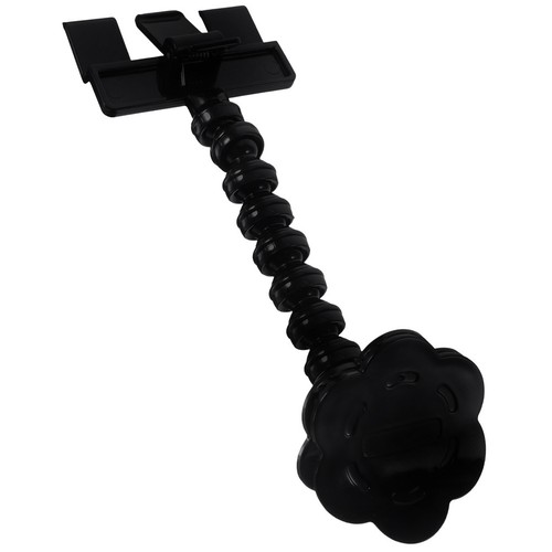 Accessori per gatto porta - ,