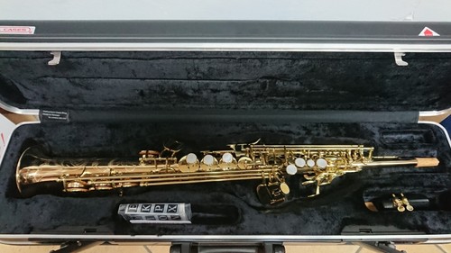 Borgani royal winds - pro, sax