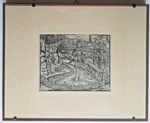 Incisione antica rara 1502 - incisione,