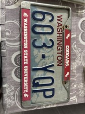 Car License Plate & American