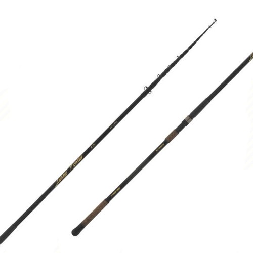 Canna storione insane - storione, fishing