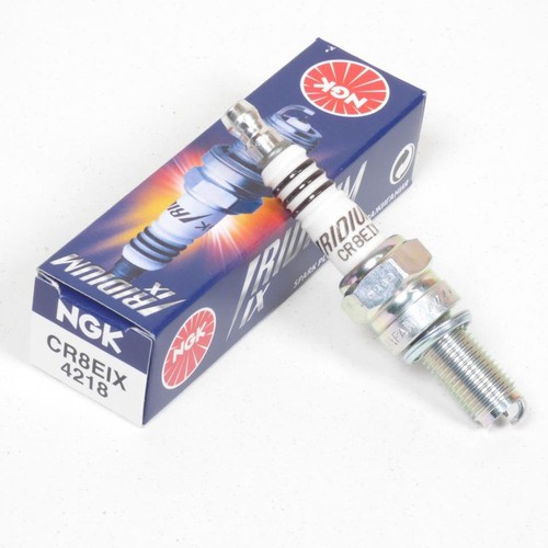 Candela ngk per quad polaris - per,