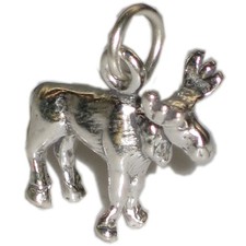 Ciondolo in argento sterling