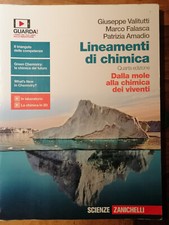 Lineamenti di chimica 4°ed -