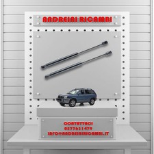 2 MOLLE A GAS BAGAGLIAIO