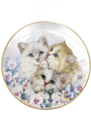 Piatto wedgwood - piatto, wedgwood/piatto