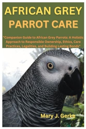 African grey parrot care - african,