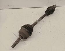 9659318080 Semialbero ant