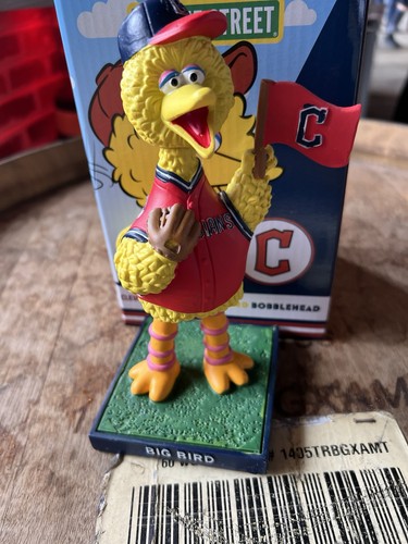 Biglietto speciale big bird - big,