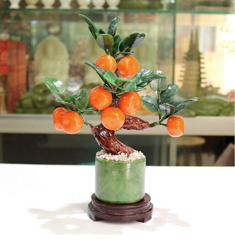 Bonsai mandarino pietra - bonsai,