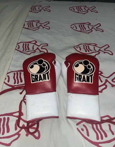 Guantoni boxe - guantoni,