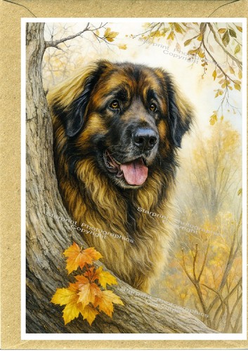 Leonberger dog scheda - leonberger, (4"x