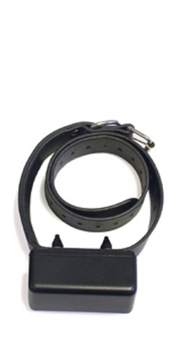 Express trainer remote dog - remote,