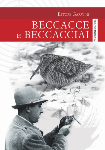 Beccacce beccacciai - e,