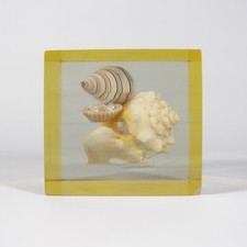 SCULTURA FERMACARTE IN RESINA EPOSSIDICA CONCHIGLIE CASA MARE MARINA VINTAGE