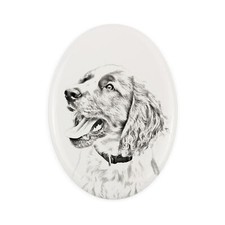 Springer Spaniel inglese