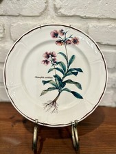 Botanical Design Decorative