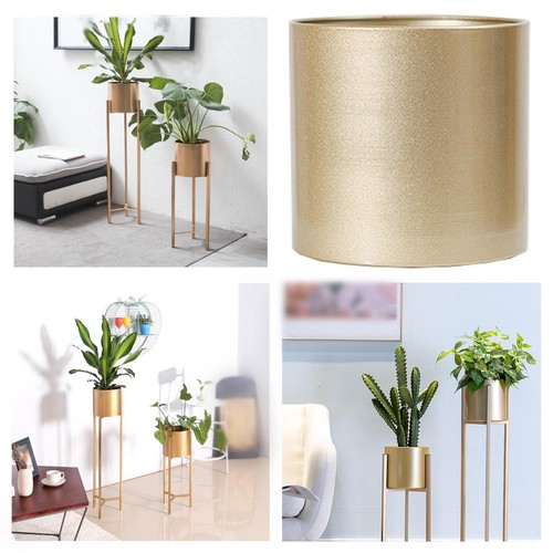 Vaso fiori phalaenopsis - vaso, da
