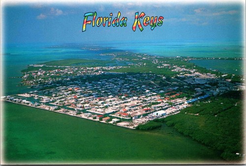 Cartolina florida keys key - keys,