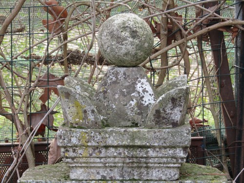 Ornamento capitello con - capitello,