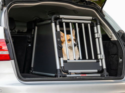 Trasportino auto per cani - auto,