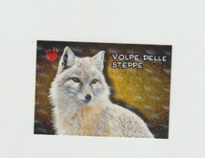 PIZZARDI AMICI CUCCIOLOTTI