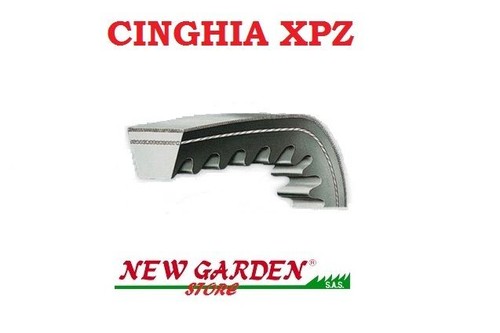 Cinghia dentata xpz 880 - xpz,