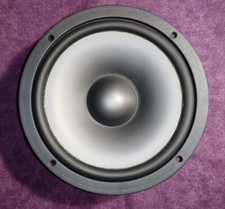 KLIPSCH WOOFER 10" K-1001-K