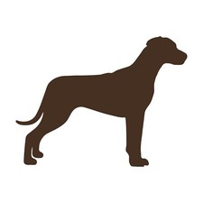 Adesivo Rhodesian Ridgeback