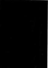 Tovaglia di Tela Cerata Merce