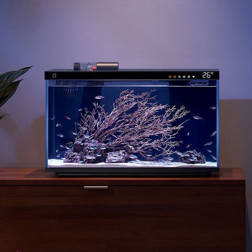 Xiaomi smart fish - 16:9,