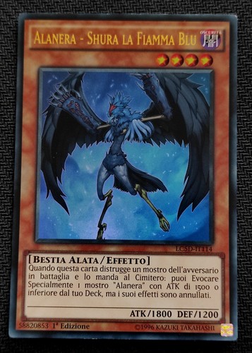 Alanera shura la - alanera,