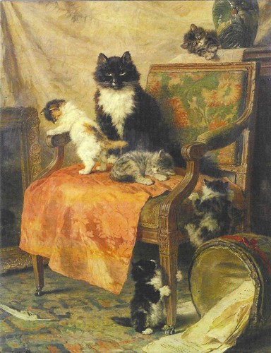 Nuova cartolina gatti gattini - nuova,