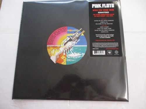 Pink floyd wish you - -,