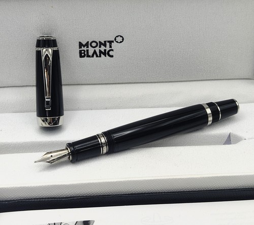 Penna stilografica premium - stilografica,