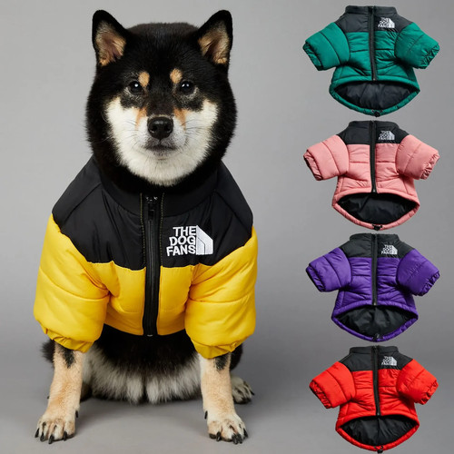 The dog fans abiti cani - abiti,