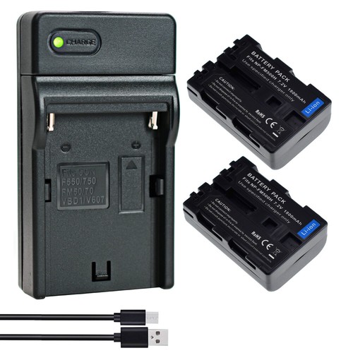 Batteria caricabatterie - 2x,