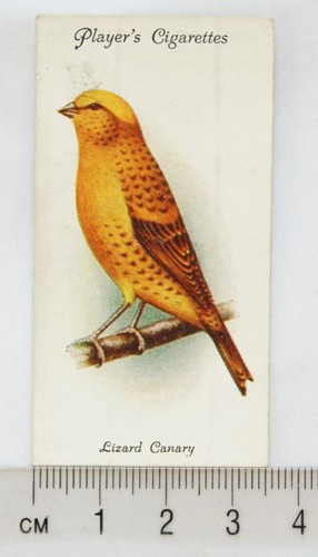 1933 john player sons - sons, aviary