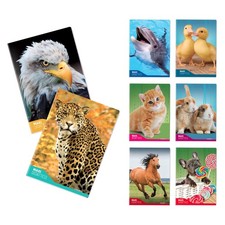 Blasetti 6 Maxi quaderni