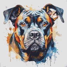 American Bully Puppy Dog opera