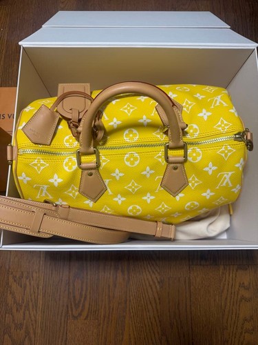 Louis vuitton speedy - louis, p9