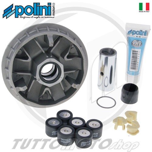 241 667 variatore polini - 241.667,